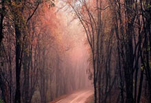 j9九游会官网：累积五张黄牌，阿莱士-希门尼斯将无缘出战佛罗伦萨.