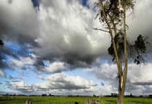 j9九游会官网：如果库里没有4个总冠军，历史地位会被哈登反超吗？.