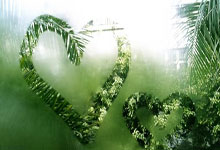 下赛季英超可能有7支俱乐部打欧冠，最多11支球队参加欧战！.