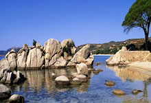 j9九游会官网：速度滑冰——世锦赛：中国队获短距离男子团体追逐冠军.